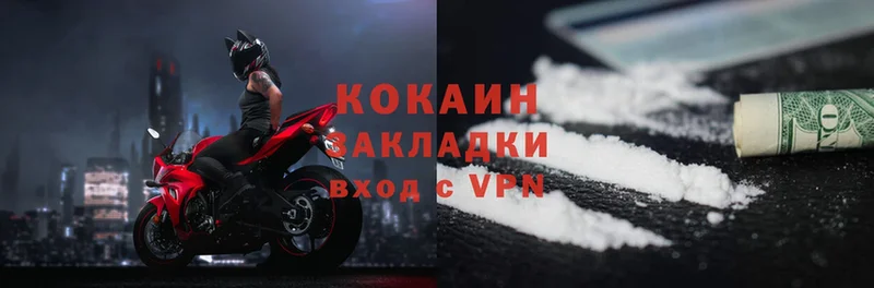 shop состав  Шарья  COCAIN Fish Scale 